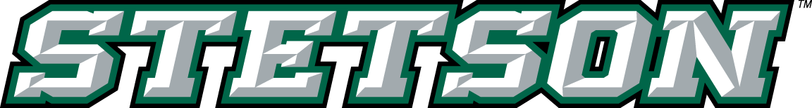 Stetson Hatters 2008-2017 Wordmark Logo iron on transfers for clothing